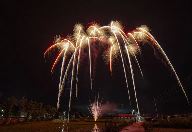 Cotton Tree Drive 25-Schuss-Feuerwerk-Batterie