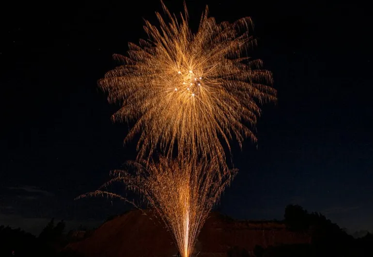 Dragon Dust Willows 16-Schuss-Feuerwerks-Batterie