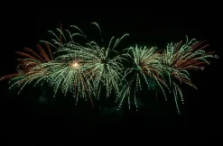Fallout 42 42-Schuss-Feuerwerk-Batterie