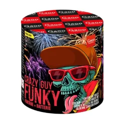 Funky (Mansion) 12-Schuss-Feuerwerk-Batterie