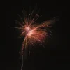 Golden Rose 13-Schuss-Feuerwerk-Batterie