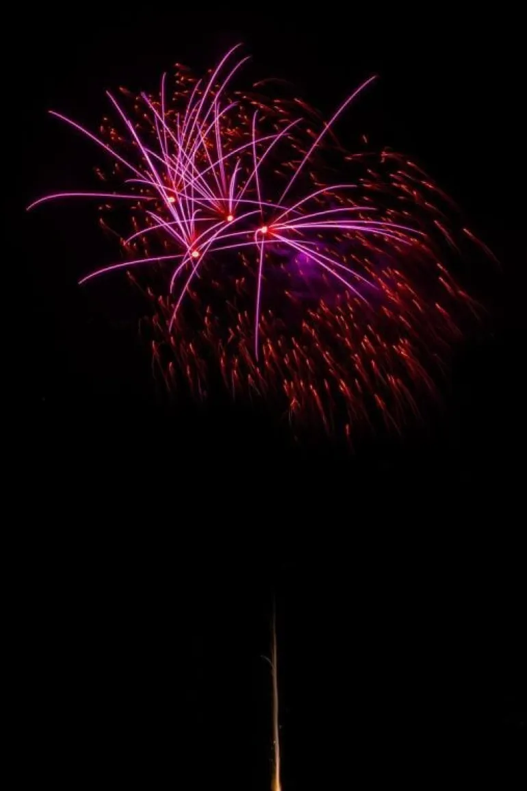 Gräte Thunfisch 9-Schuss-Feuerwerk-Batterie