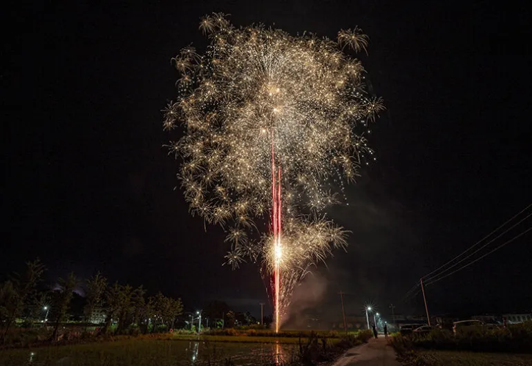 Mitternacht Monster 16-Schuss-Feuerwerk-Batterie