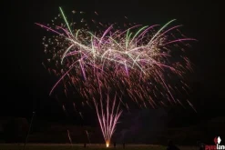 Neidfall 25-Schuss-Feuerwerk-Batterie
