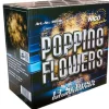 Popping Flowers 13-Schuss-Feuerwerk-Bombettenbatterien