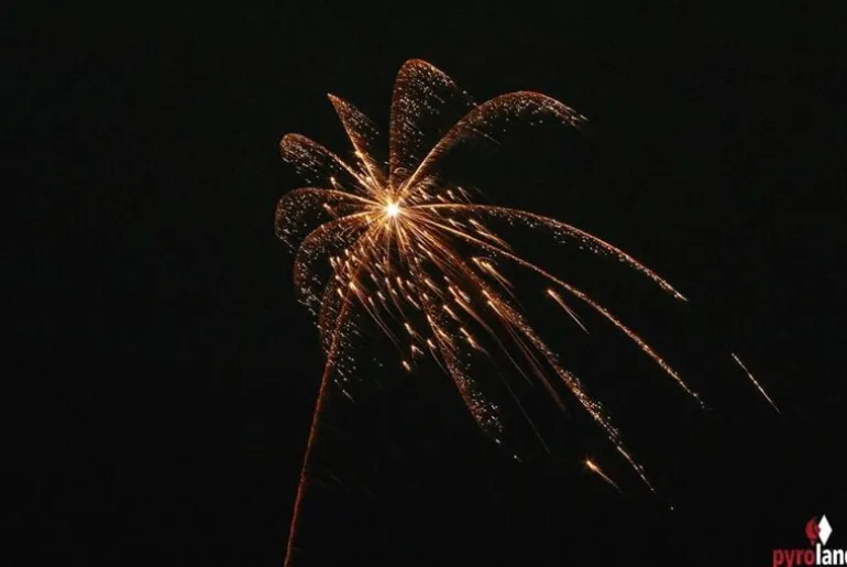 POPULUM - 6-teiliges Raketen-Sortiment