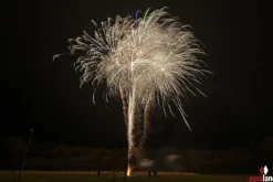 Zornblume 21-Schuss-Feuerwerk-Batterie